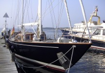 Aglaia