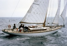 Alraune