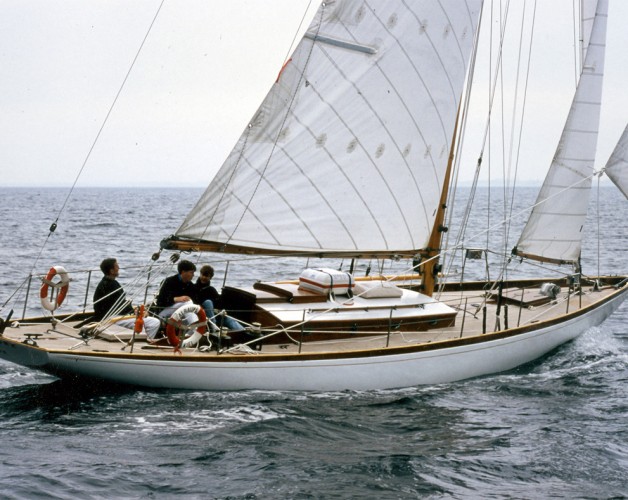 Alraune